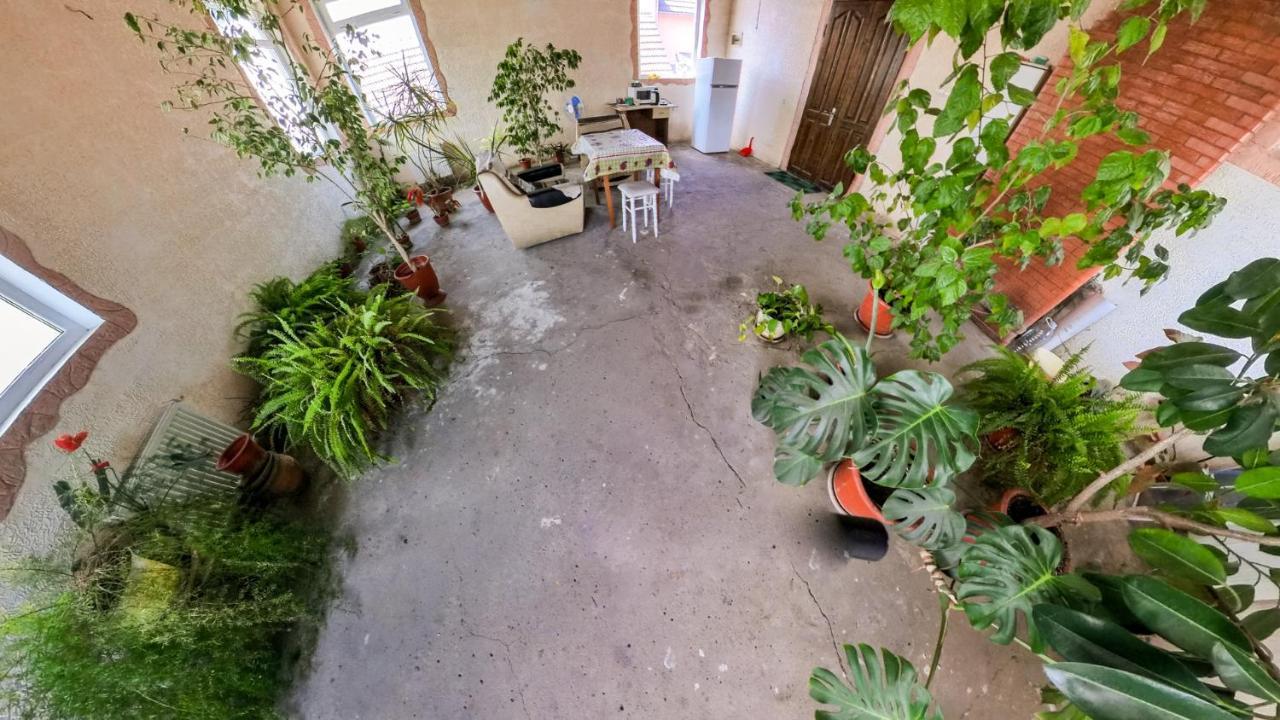 La Vitalie Guest House Кишинів Екстер'єр фото