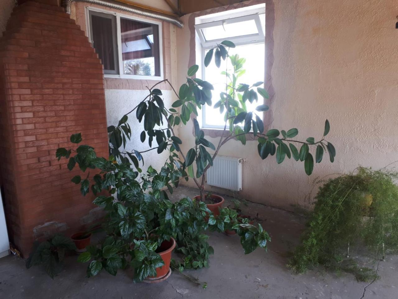 La Vitalie Guest House Кишинів Екстер'єр фото